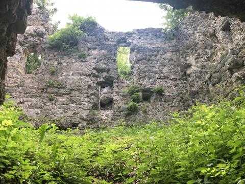 Ruine Langenegg